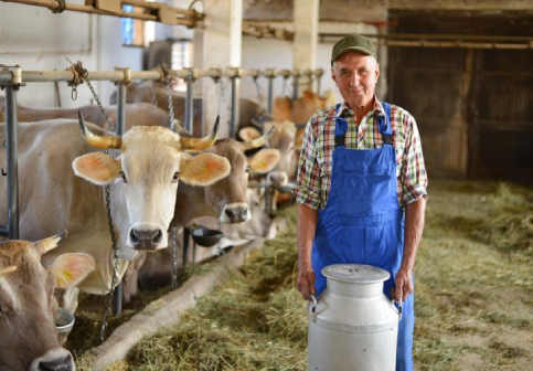 Agriculture Industry Fans for Livestock Comfort