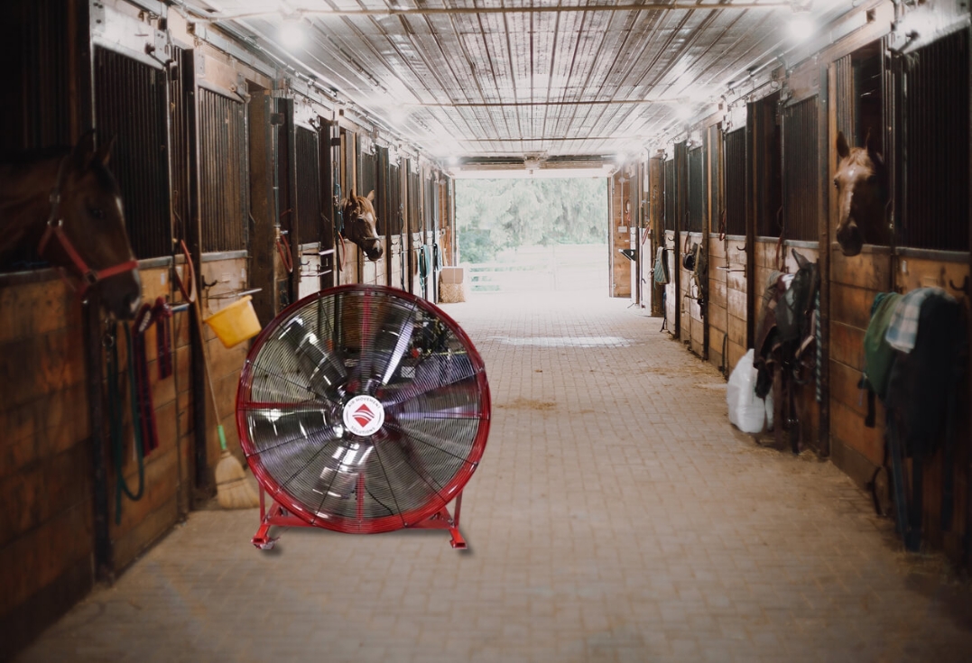 The Complete Guide to Horse Stall Fans: Keeping Your Horses Comfortable and Healthy