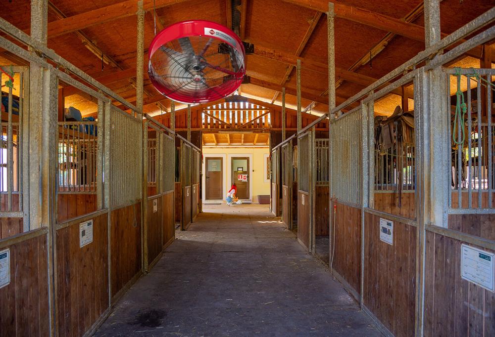 ceiling fans for horse barns